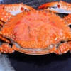 福井県のカニ食べ放題まとめ7選！ランチや日帰り・ホテルも